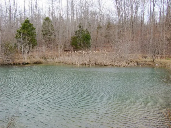 294 Mayberry Spur Rd, Linden, TN 37096