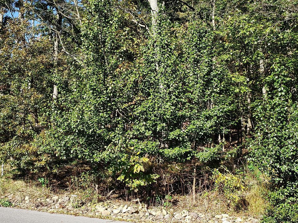 1st image of Richwood Ave