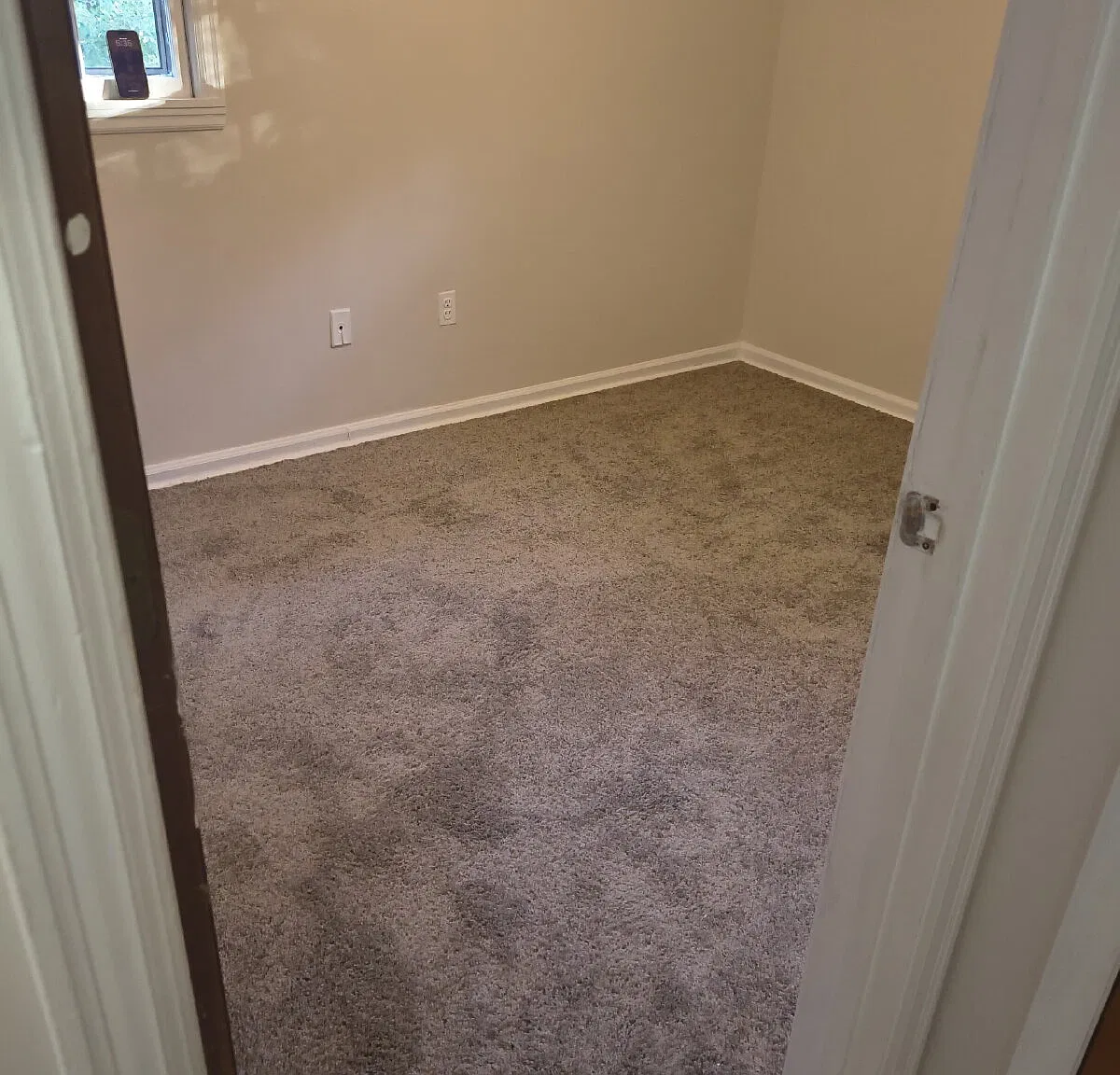 2 bed, 1.0 bath, $1,100 — Photo 4