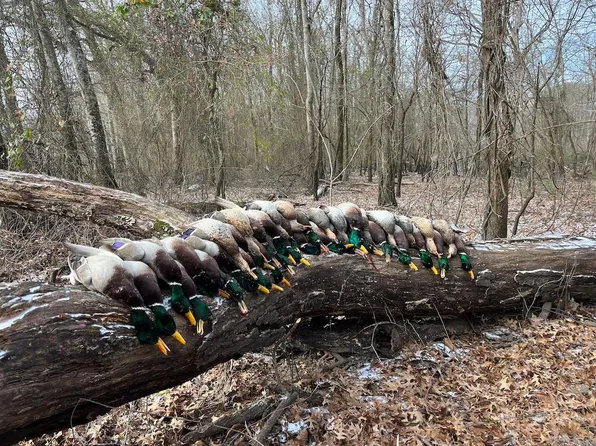 (undisclosed Address), Augusta, AR 72006