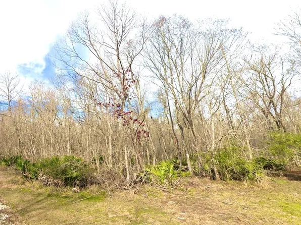 0 Black Cat Rd, Sour Lake, TX 77659
