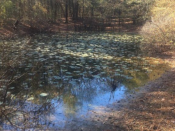 3rd image of 2 Caney Valley Dr