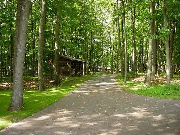 Asphalt drive w/ Wood Shed