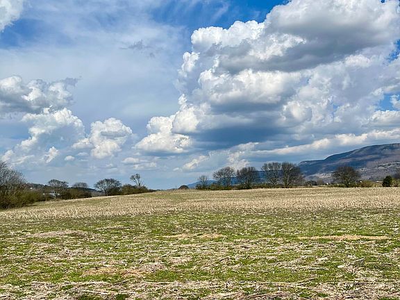 3rd image of 7799 E Valley Rd