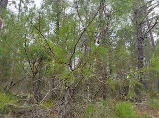 171 7th Way LOT 30-32, Interlachen, FL 32148