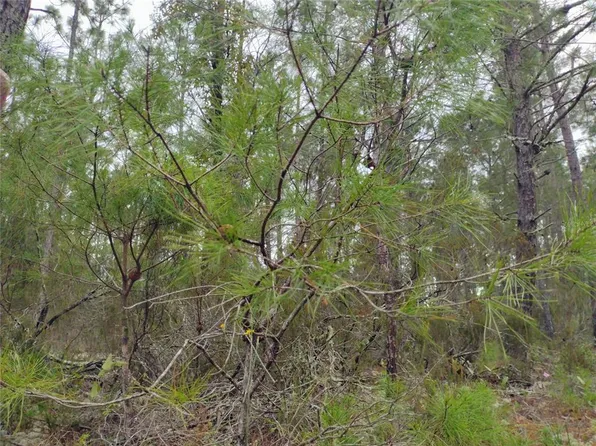 171 7th Way Lot 30-32, Interlachen, FL 32148