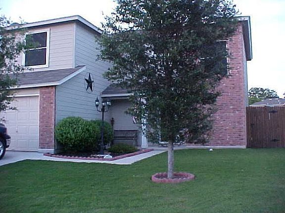2007 (Trees have grown nicely)
