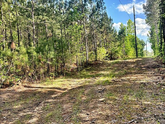 4th image of O'Johnson Rd