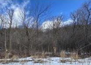 LOT 7 185th Ave, Hager City, WI, 54014