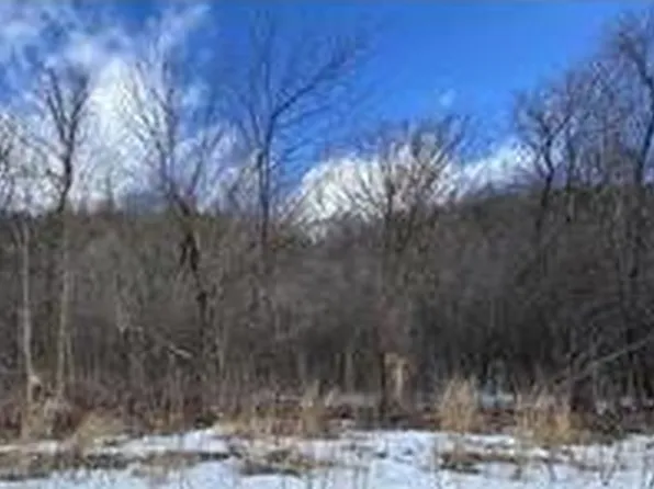 LOT 7 185th Ave, Hager City, WI 54014