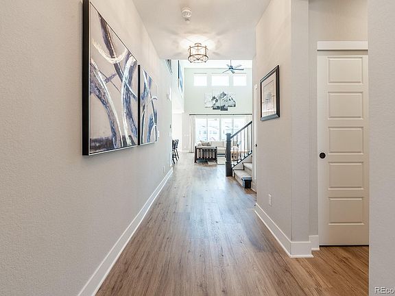 2nd image of 52 Simmental Loop