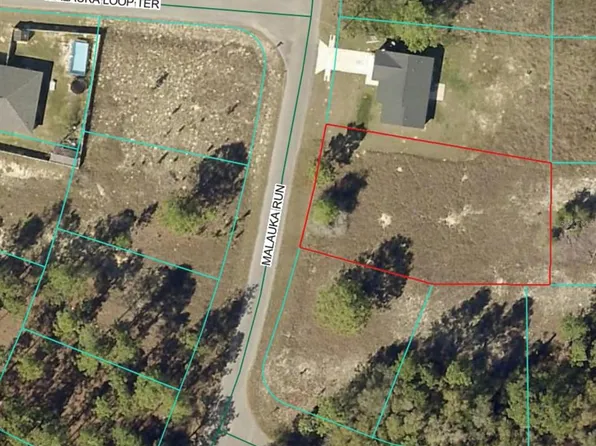5 SE Malauka Run Lot 5, Ocklawaha, FL 32179