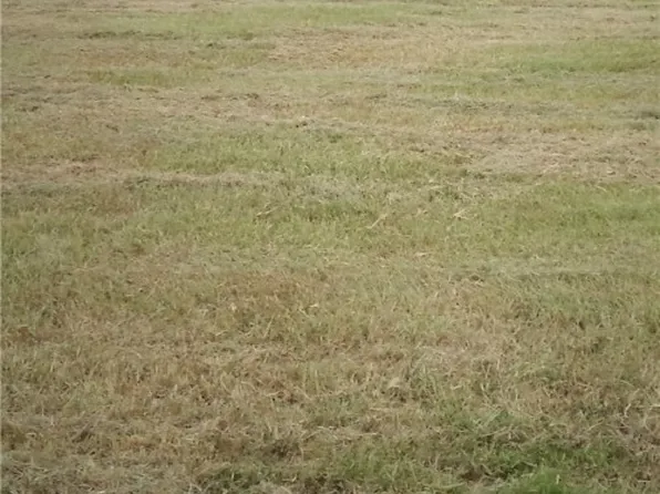 1203 W Houston Ave, Seadrift, TX 77983