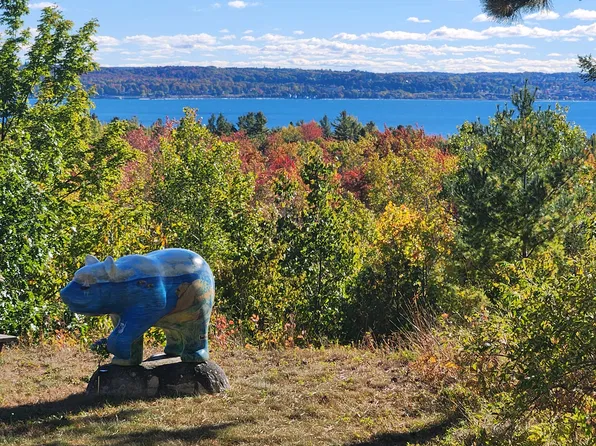 7230 M 119, Harbor Springs, MI 49740