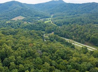 Lewis Ln, Lovingston, VA 22949