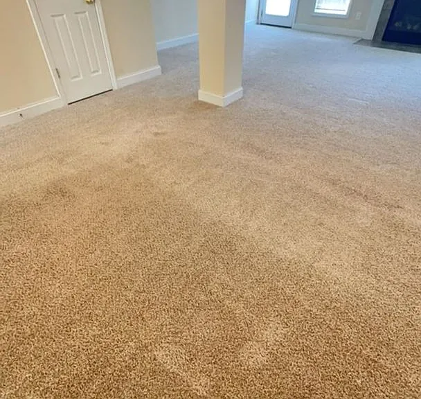 223 Forest Green Dr — Photo 8