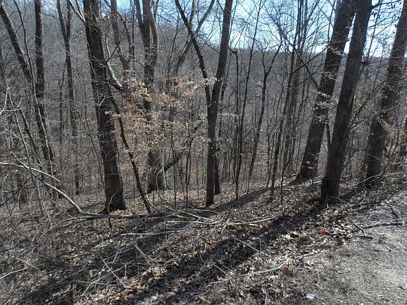 3rd image of Fox Lake Ln Lot 13
