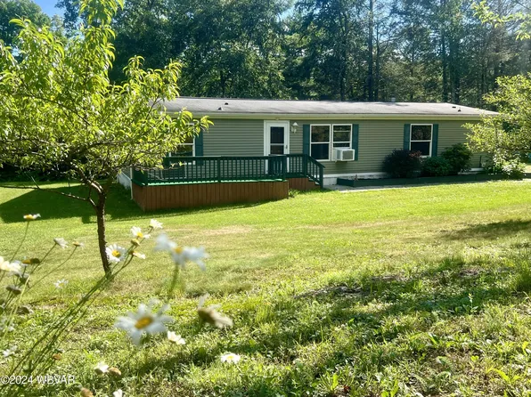 393 Loop Hill Rd, Hughesville, PA 17737