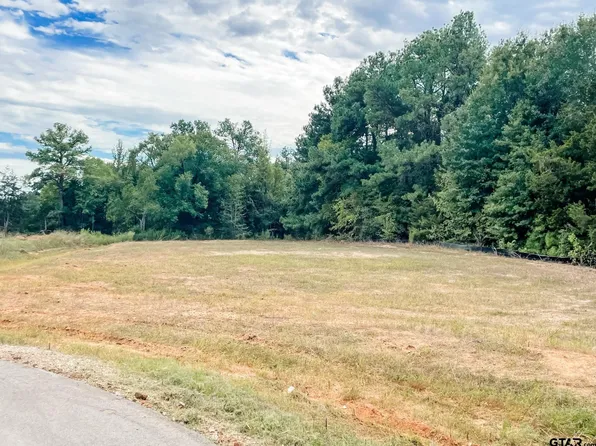 14973 Turtle Creek Ranch Rd, Flint, TX 75762