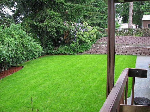Back yard and terraced garden