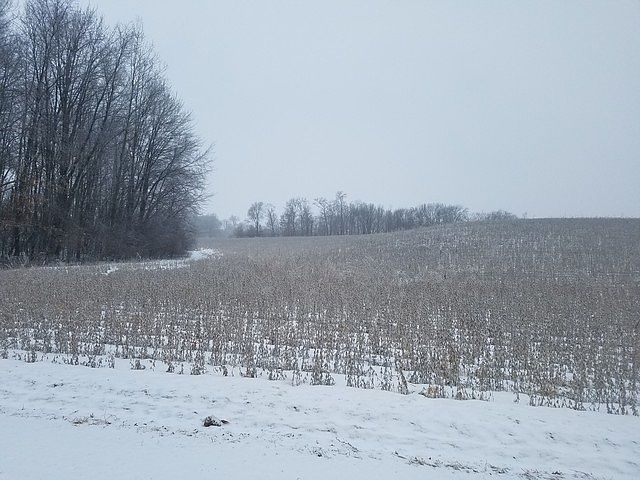 2nd image of Novel Ave