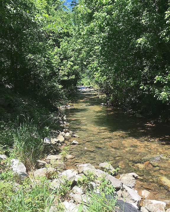 Sparkling Puppy Creek