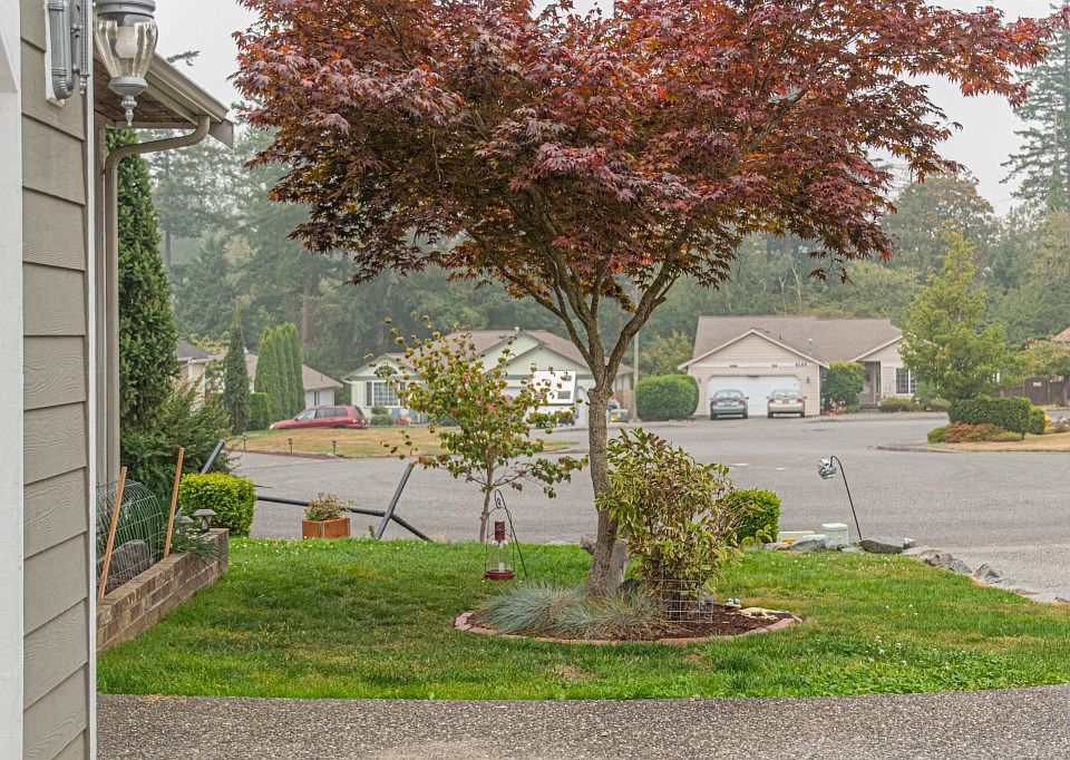 2nd image of 1520 Bonnie Pl