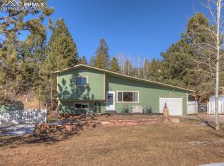 1122 Park View Pl, Woodland Park, CO 80863