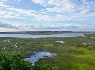 17 Tranquility River View Ct, Townsend, GA 31331