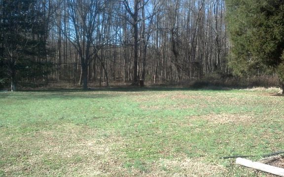 5th image of 163 Hawkins Ave