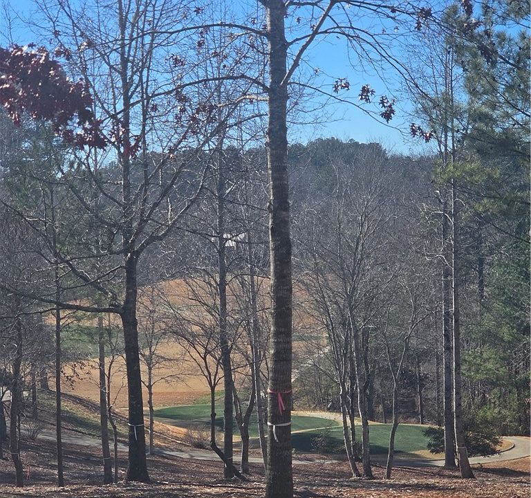 2nd image of 116 Bluebell Way