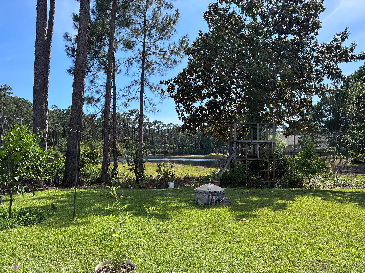 4 bed, 2261 sqft, $3,500 — Photo 4