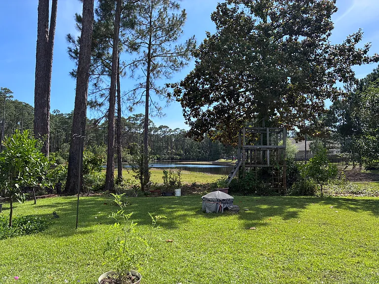 405 Loblolly Bay Dr — Photo 4