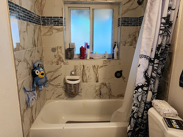 Downstairs Bath
