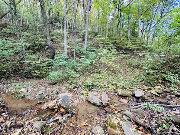 7th Spgs, Fancy Gap, VA 24328
