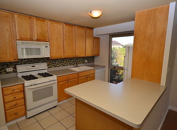 3rd image of 1960 N Lincoln Park W APT 409