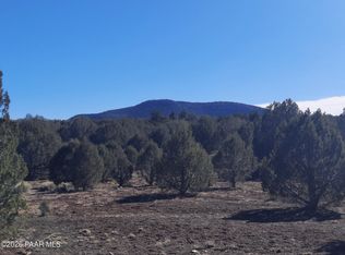 LOT 850 W Fort Rock Rd, Seligman, AZ 86337
