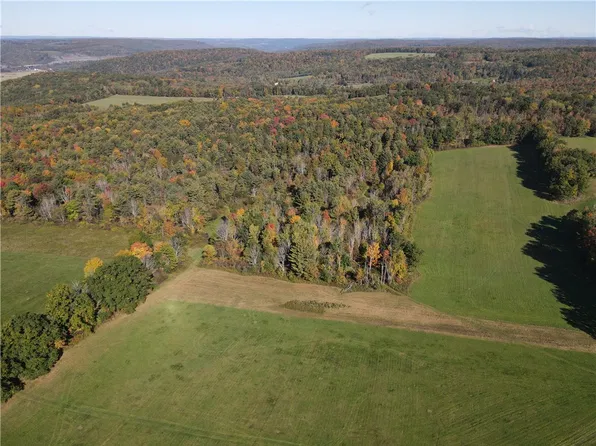 Browntown Rd Lot 3, Lindley, NY 14858