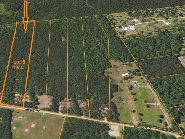 LOT 6 Blue Jay Dr, Kountze, TX 77625