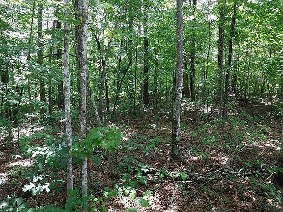 3rd image of 869 Spruce Creek Dr