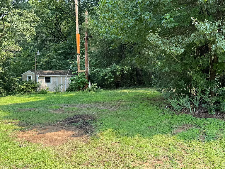 Rear Yard