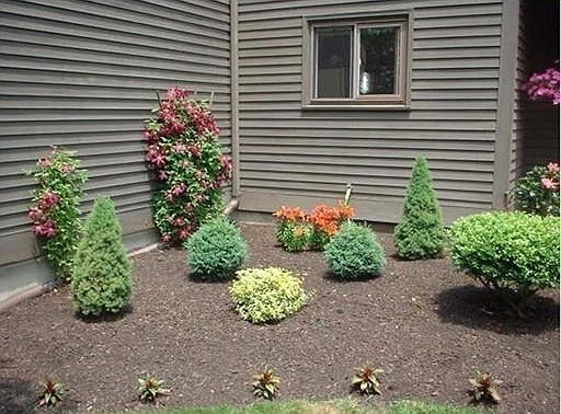 4th image of 401 Colonial Dr Unit 40