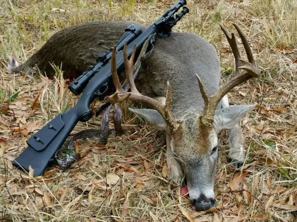 County Road 4425, Annona, TX 75550