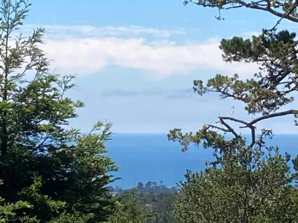24245 San Pedro Ln, Carmel, CA 93923