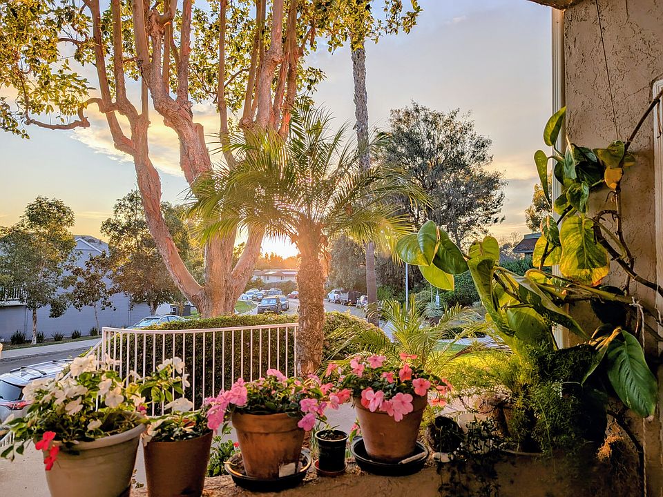 Patio view in evening