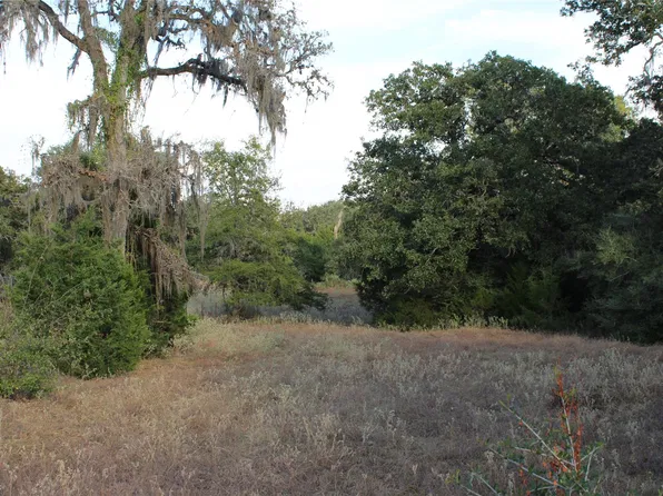 PARCEL 4 Lobo Ln, Columbus, TX 78934