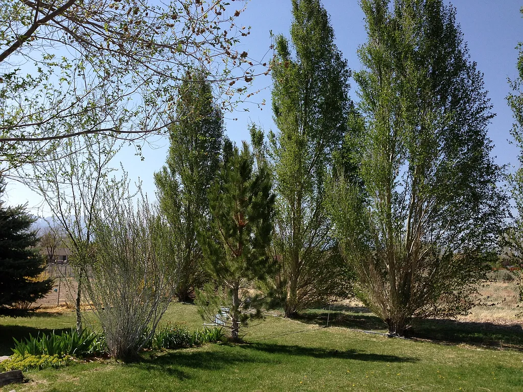 Property photo 4