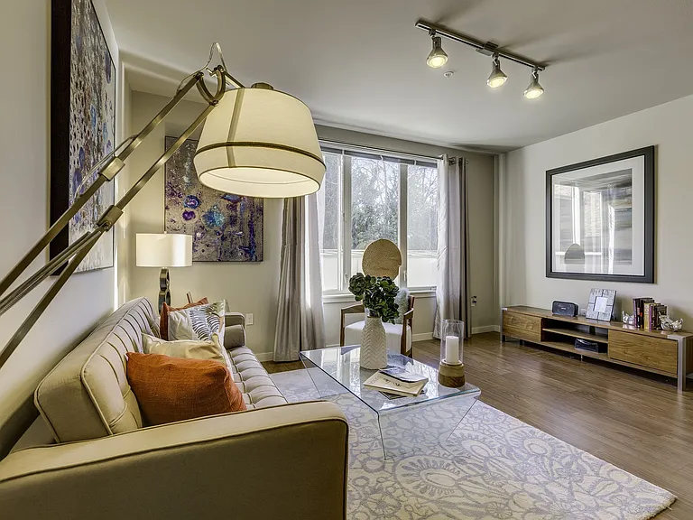 Queen Anne Collection — Photo 23