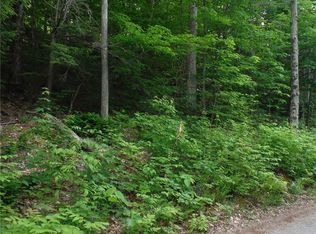 7270 Bullrock Point Rd, Harrisville, NY 13648