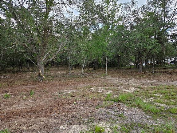 5th image of 21531 SE 68TH LANE LOT 10